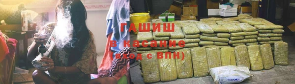 стаф Вяземский