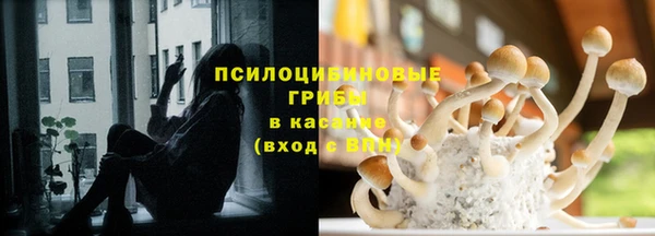 стаф Вяземский