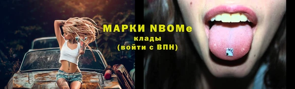 стаф Вяземский