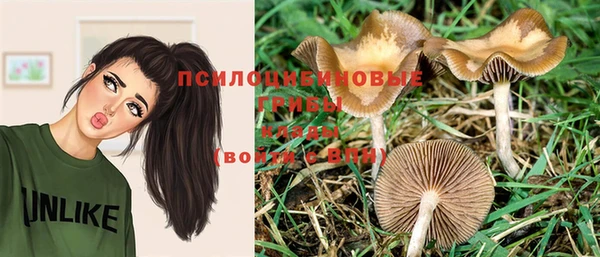 СК Вязники