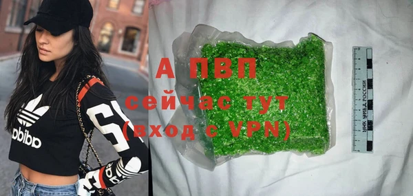 стаф Вяземский