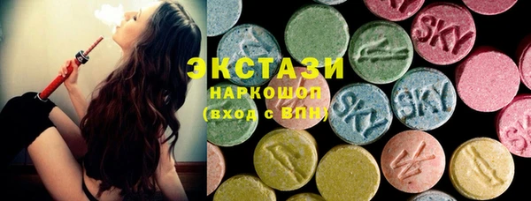 стаф Вяземский