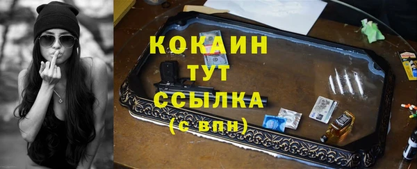 стаф Вяземский