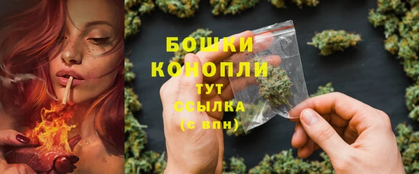 стаф Вяземский