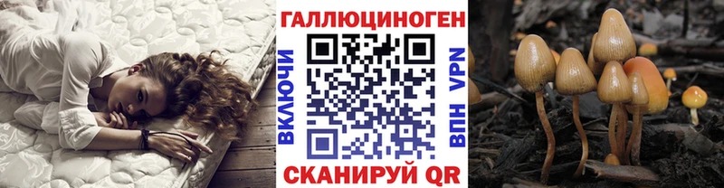 хочу наркоту  ОМГ ОМГ ссылка  Псилоцибиновые грибы GOLDEN TEACHER  Екатеринбург 